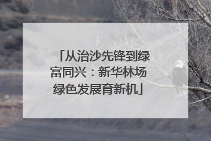 从治沙先锋到绿富同兴：新华林场绿色发展育新机