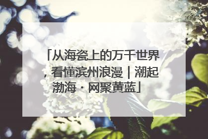 从海瓷上的万千世界，看懂滨州浪漫｜潮起渤海・网聚黄蓝