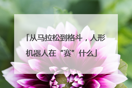 从马拉松到格斗，人形机器人在“赛”什么