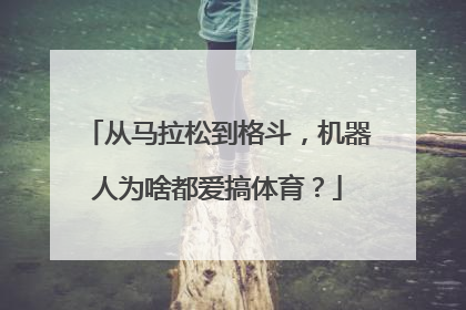 从马拉松到格斗，机器人为啥都爱搞体育？
