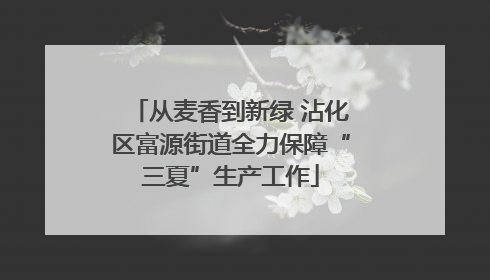 从麦香到新绿 沾化区富源街道全力保障“三夏”生产工作