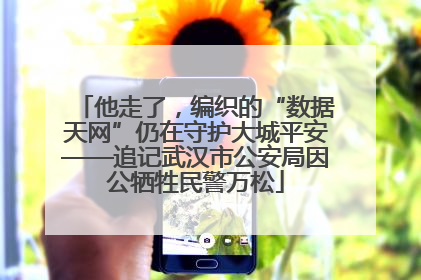 他走了，编织的“数据天网”仍在守护大城平安——追记武汉市公安局因公牺牲民警万松