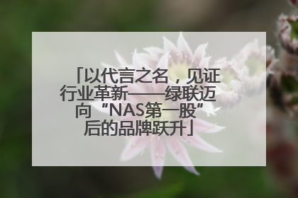 以代言之名，见证行业革新——绿联迈向“NAS第一股”后的品牌跃升