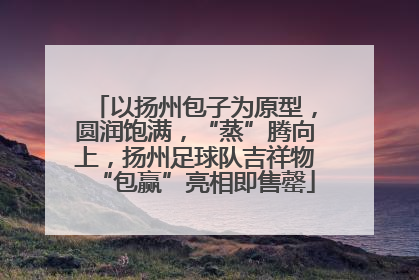 以扬州包子为原型，圆润饱满，“蒸”腾向上，扬州足球队吉祥物“包赢”亮相即售罄