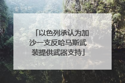 以色列承认为加沙一支反哈马斯武装提供武器支持