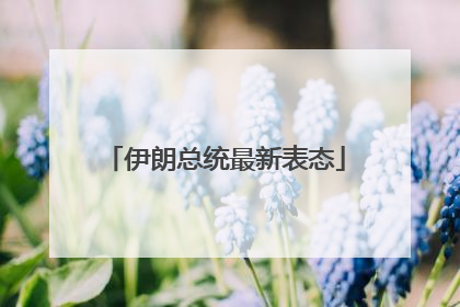 伊朗总统最新表态