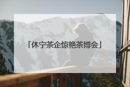 休宁茶企惊艳茶博会
