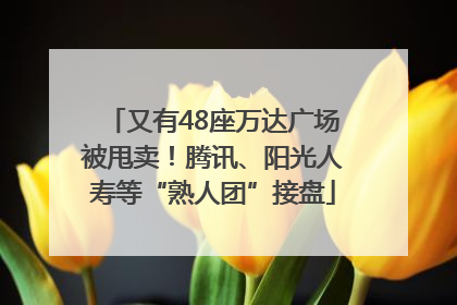 又有48座万达广场被甩卖！腾讯、阳光人寿等“熟人团”接盘