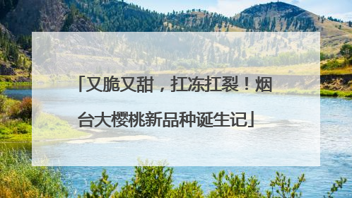 又脆又甜，扛冻扛裂！烟台大樱桃新品种诞生记