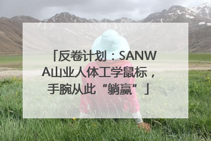 反卷计划：SANWA山业人体工学鼠标，手腕从此“躺赢”