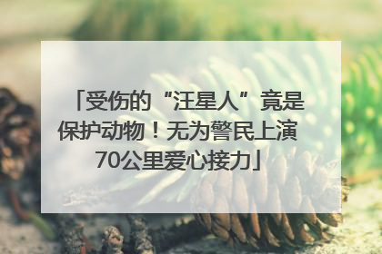 受伤的“汪星人”竟是保护动物！无为警民上演70公里爱心接力