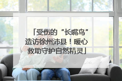 受伤的“长嘴鸟”造访徐州沛县！暖心救助守护自然精灵
