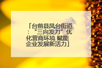 台前县凤台街道：“三向发力”优化营商环境 赋能企业发展新活力
