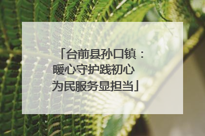 台前县孙口镇：暖心守护践初心 为民服务显担当
