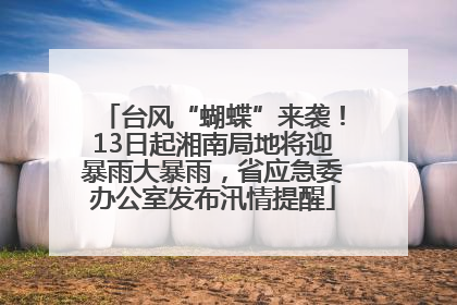 台风“蝴蝶”来袭！13日起湘南局地将迎暴雨大暴雨，省应急委办公室发布汛情提醒