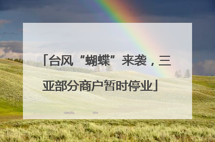 台风“蝴蝶”来袭，三亚部分商户暂时停业