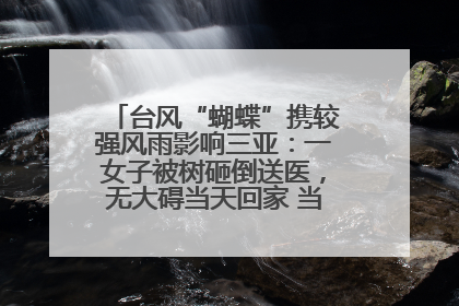 台风“蝴蝶”携较强风雨影响三亚：一女子被树砸倒送医，无大碍当天回家 当地已紧急清障