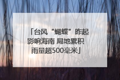 台风“蝴蝶”昨起影响海南 局地累积雨量超500毫米