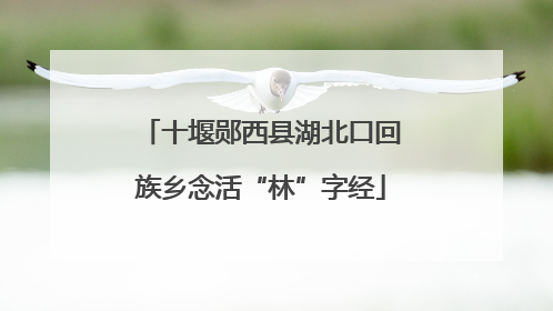 十堰郧西县湖北口回族乡念活“林”字经