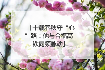 十载春秋守“心”路：他与合福高铁同频脉动