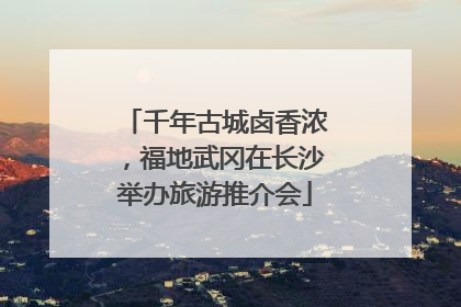 千年古城卤香浓，福地武冈在长沙举办旅游推介会