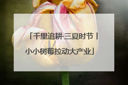 千里追耕·三夏时节丨小小树莓拉动大产业