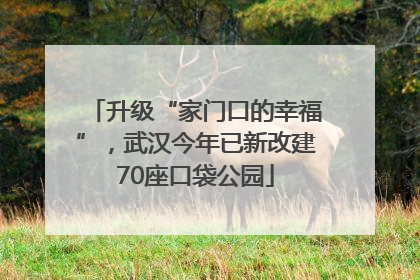 升级“家门口的幸福”，武汉今年已新改建70座口袋公园