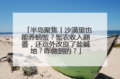 半岛聚焦丨沙漠里也能养螃蟹？蟹农收入翻番，还意外改良了盐碱地？咋做到的？