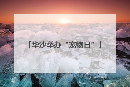 华沙举办“宠物日”