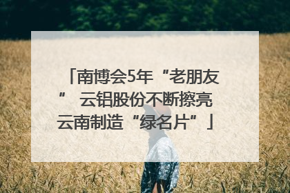 南博会5年“老朋友” 云铝股份不断擦亮云南制造“绿名片”
