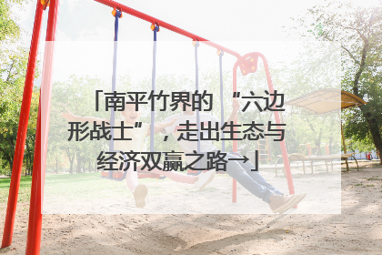 南平竹界的 “六边形战士”，走出生态与经济双赢之路→