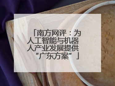 南方网评：为人工智能与机器人产业发展提供“广东方案”