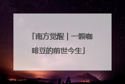 南方觉醒｜一颗咖啡豆的前世今生