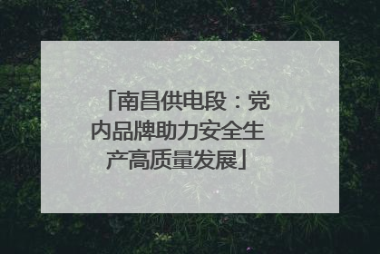 南昌供电段：党内品牌助力安全生产高质量发展