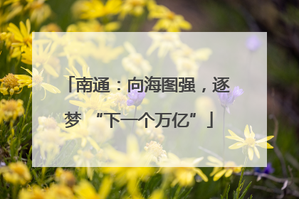南通：向海图强，逐梦 “下一个万亿”
