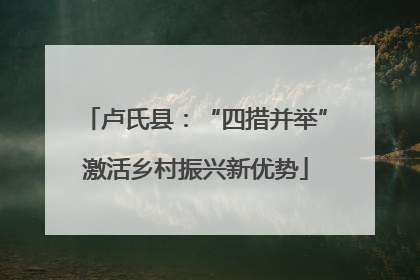 卢氏县：“四措并举”激活乡村振兴新优势