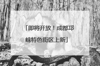 即将开放！成都邛崃特色街区上新