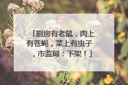 厨房有老鼠，肉上有苍蝇，菜上有虫子，市监局：下架！