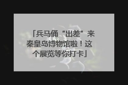 兵马俑“出差”来秦皇岛博物馆啦！这个展览等你打卡