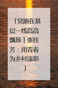 党旗在基层一线高高飘扬丨张桂芳：用青春为乡村添彩