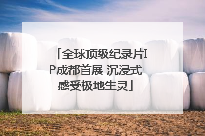 全球顶级纪录片IP成都首展 沉浸式感受极地生灵