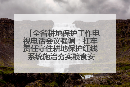 全省耕地保护工作电视电话会议强调：扛牢责任守住耕地保护红线 系统施治夯实粮食安全根基 王宁作出批示 王予波出席并讲话