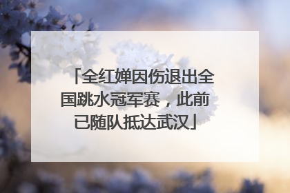 全红婵因伤退出全国跳水冠军赛，此前已随队抵达武汉