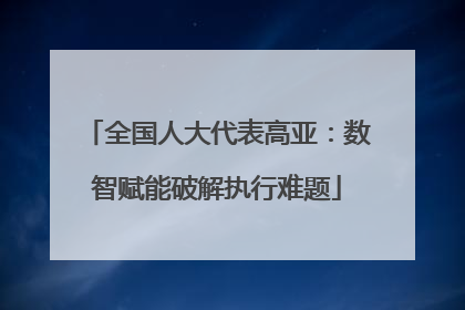全国人大代表高亚：数智赋能破解执行难题