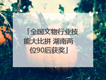 全国文物行业技能大比拼 湖南两位90后获奖
