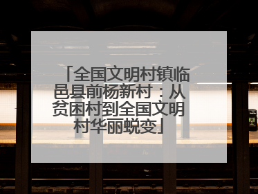 全国文明村镇临邑县前杨新村：从贫困村到全国文明村华丽蜕变