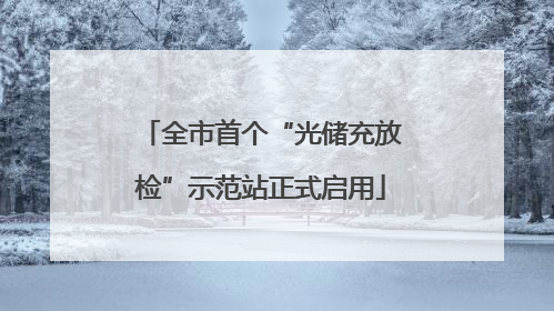 全市首个“光储充放检”示范站正式启用