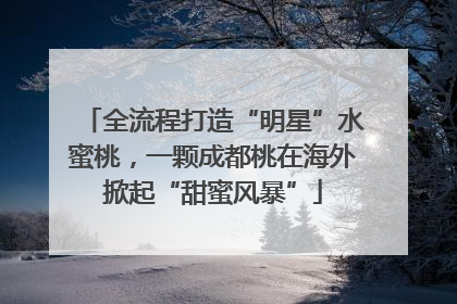 全流程打造“明星”水蜜桃，一颗成都桃在海外掀起“甜蜜风暴”