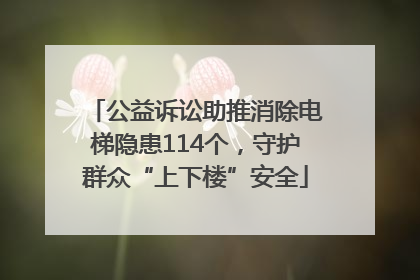 公益诉讼助推消除电梯隐患114个，守护群众“上下楼”安全