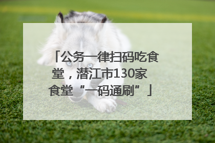 公务一律扫码吃食堂，潜江市130家食堂“一码通刷”